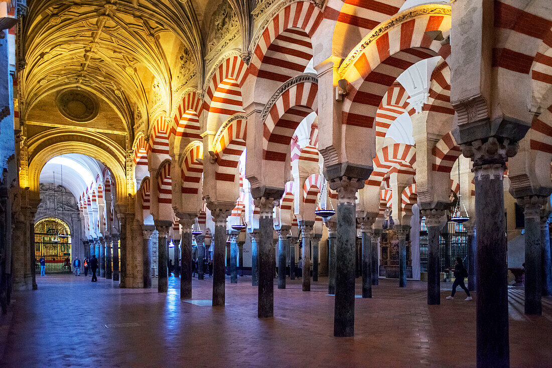 Säulen in der Mezquita-Kathedrale der Moschee von Cordoba in Andalusien, Spanien