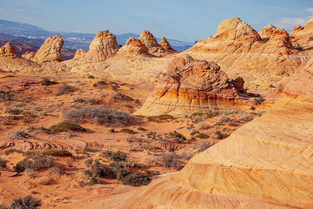 Eroded Navajo sandstone formations in South Coyote Buttes, Vermilion Cliffs National Monument, Arizona.