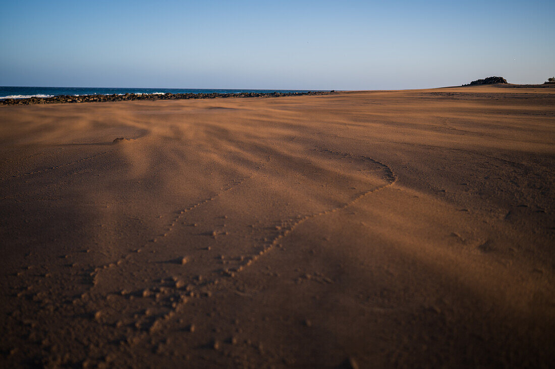 Wind bläst Sand an einem Strand in Lanzarote, Kanarische Inseln, Spanien