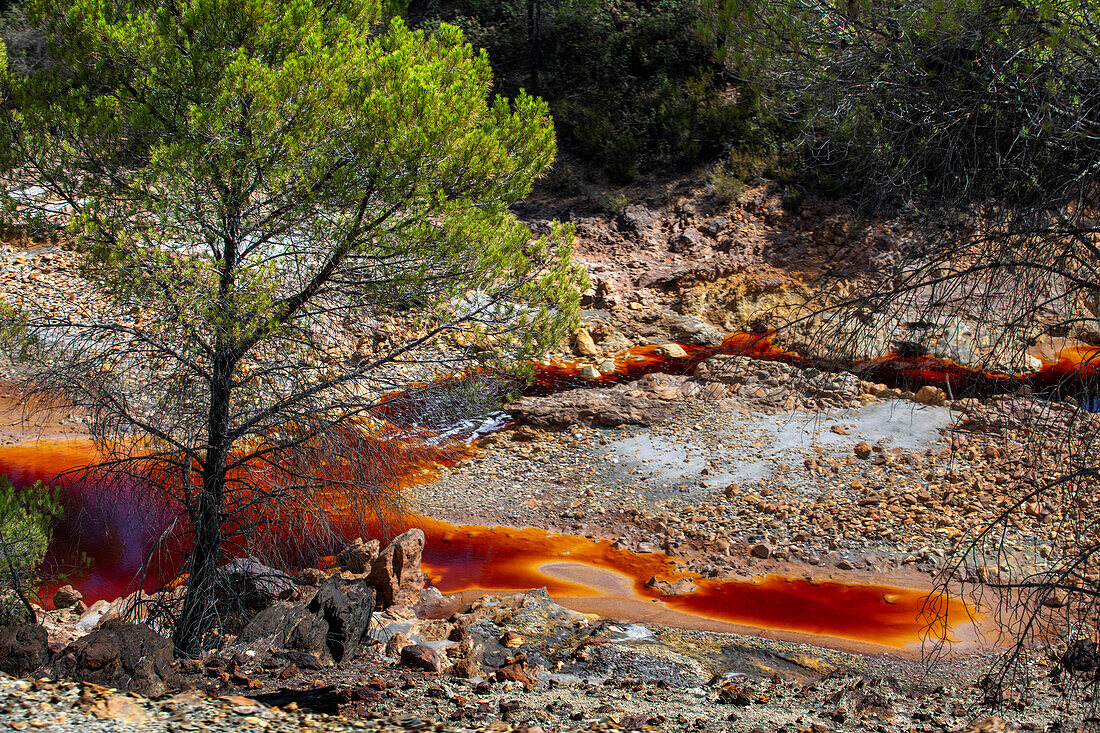 Blutrotes mineralhaltiges Wasser des Rio Tinto Flusses im Minas de Riotinto Bergbaugebiet. Der sehr rote Rio Tinto (Fluss Tinto), Teil des Rio Tinto Minenparks (Minas de Riotinto), Provinz Huelva, Spanien