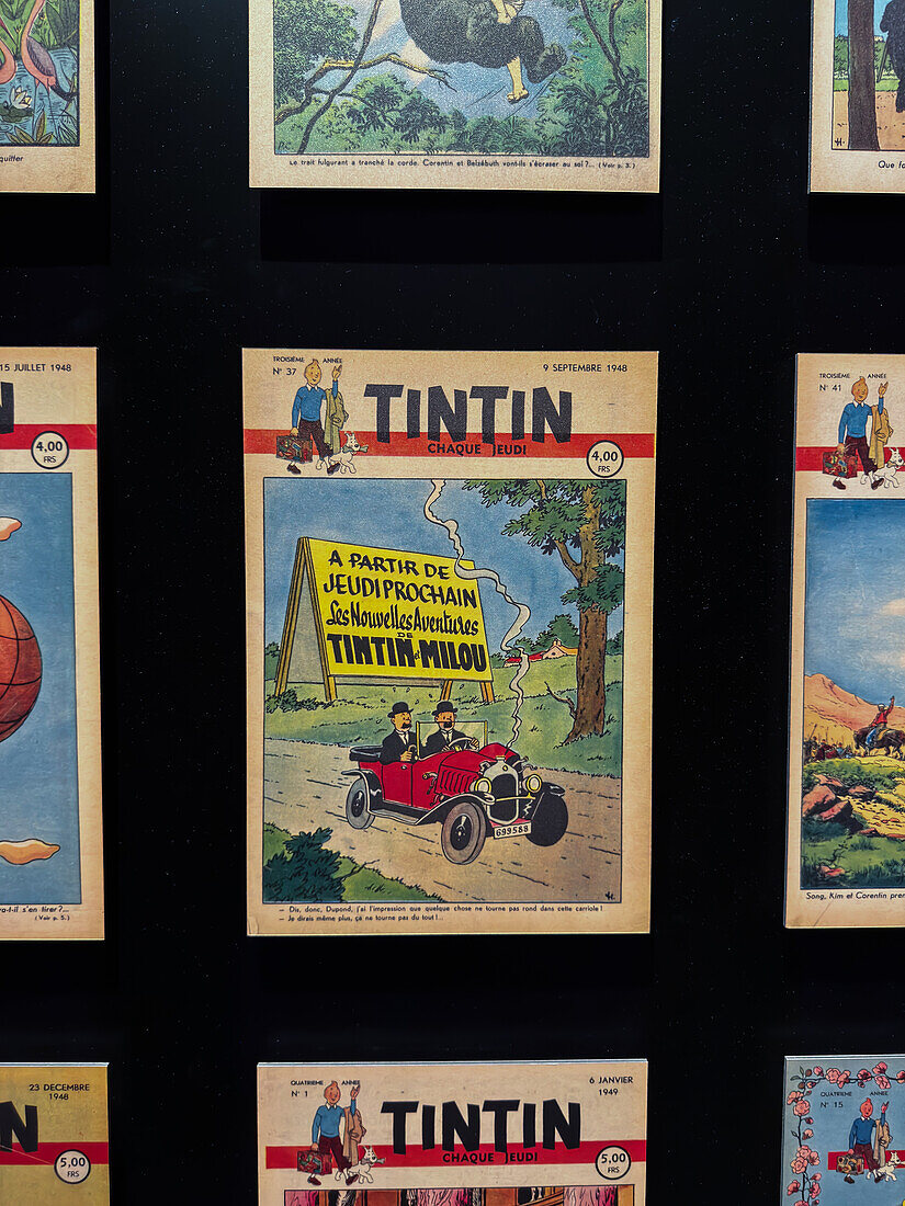 Assorted covers of The Adventures of Tintin comic books by Herge.