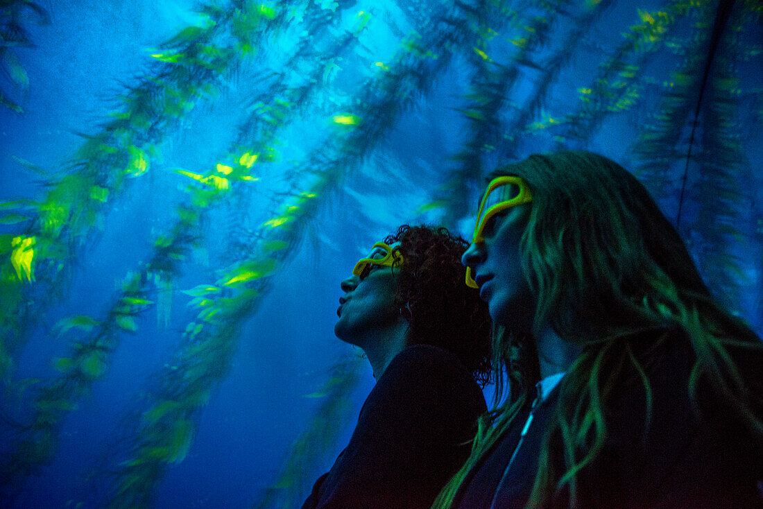 Schaufenster im New York Aquarium in Brooklyn, NY, USA