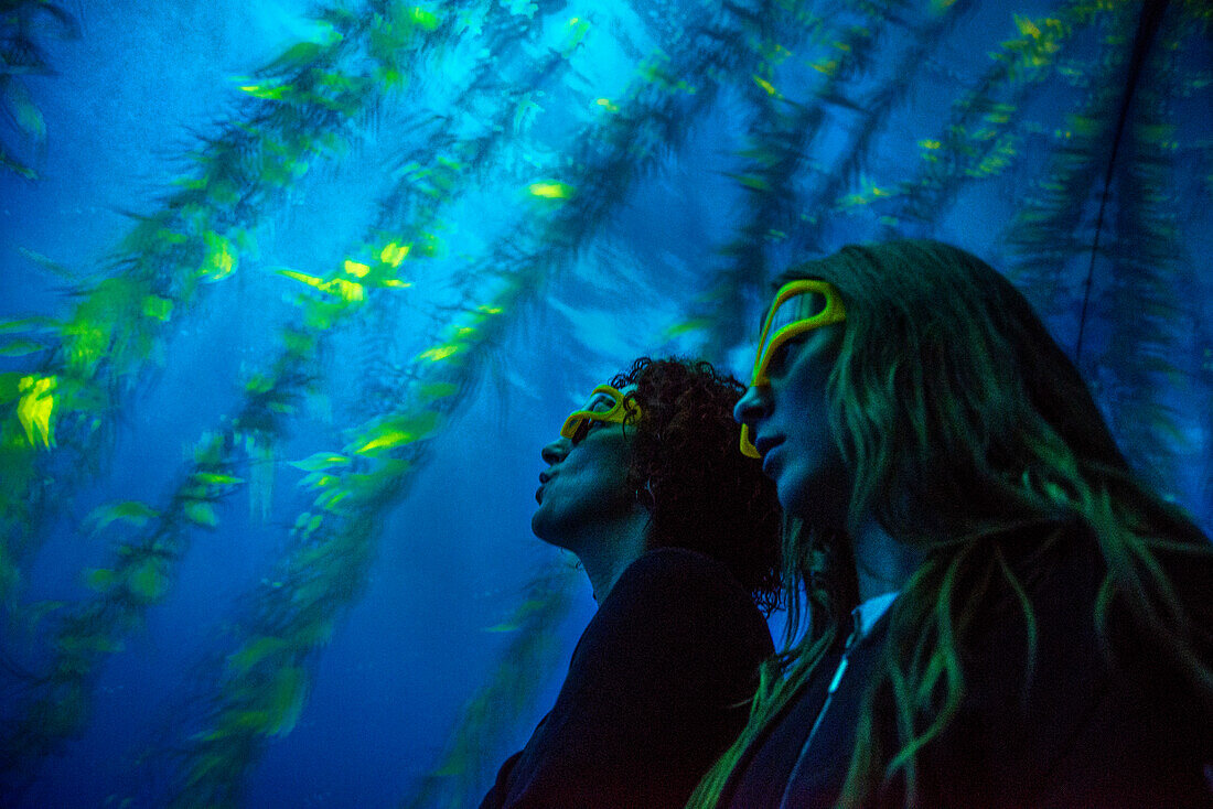 Viewing window at the New York Aquarium in Brooklyn, NY, USA