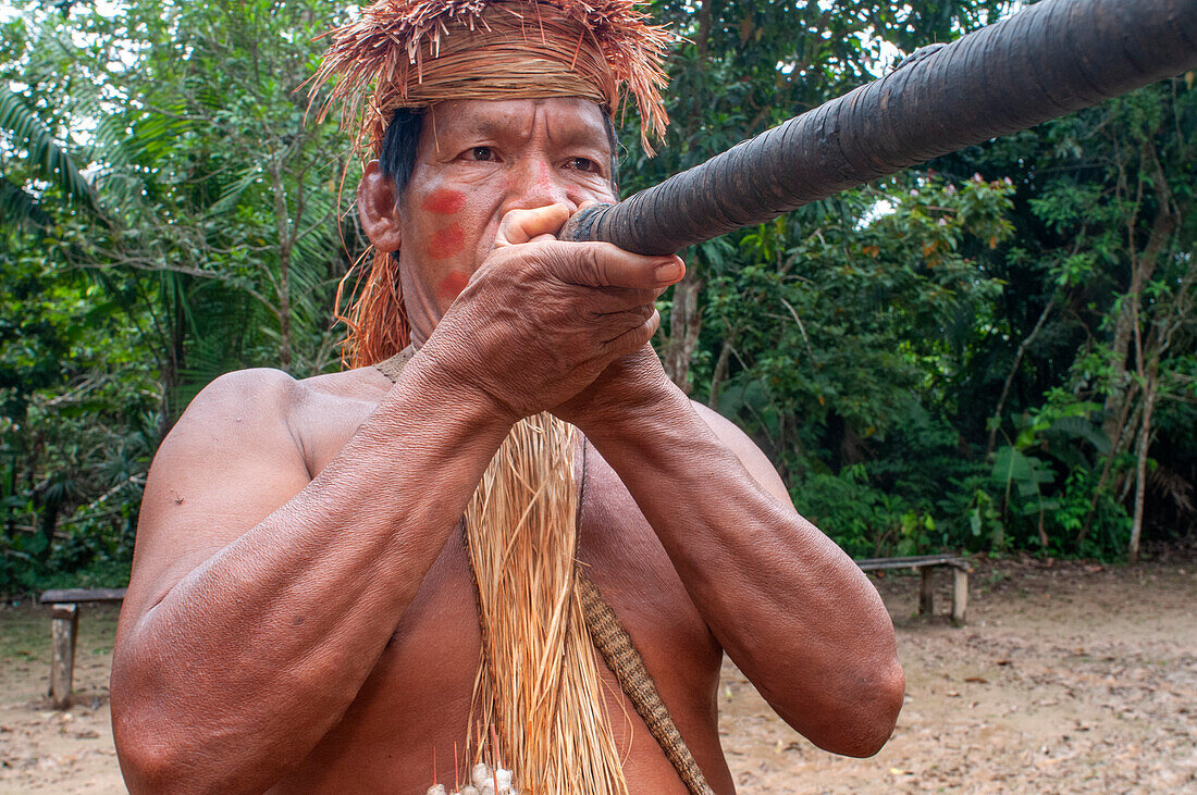 Jagd auf Blasrohrpfeile, Yagua-Indianer führen ein traditionelles Leben in der Nähe der Amazonasstadt Iquitos, Peru