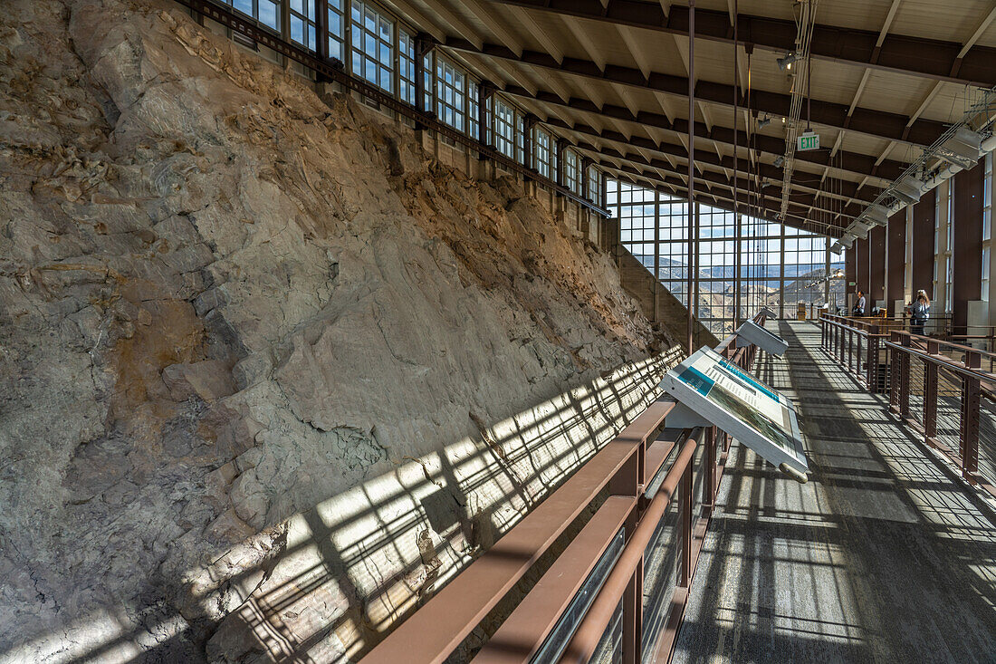 Der Balkon mit Blick auf die Wall of Bones in der Quarry Exhibit Hall im Dinosaur National Monument. Jensen, Utah
