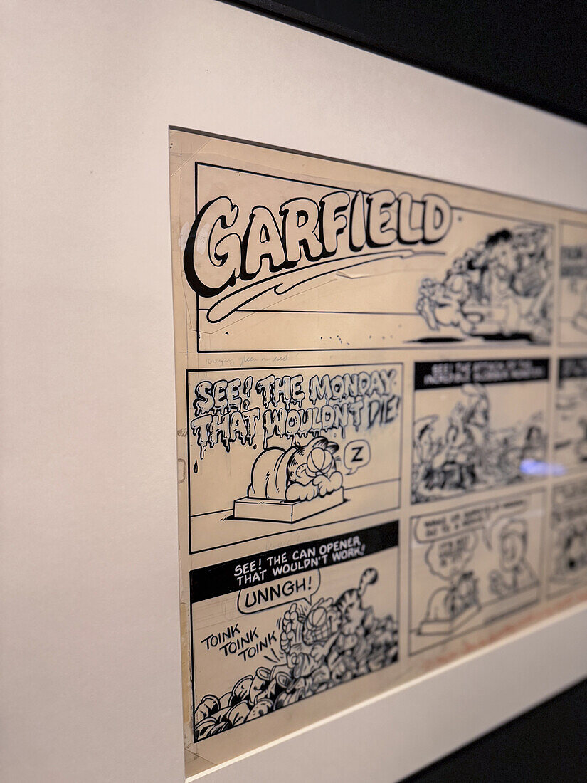 Garfield by Jim Davis.