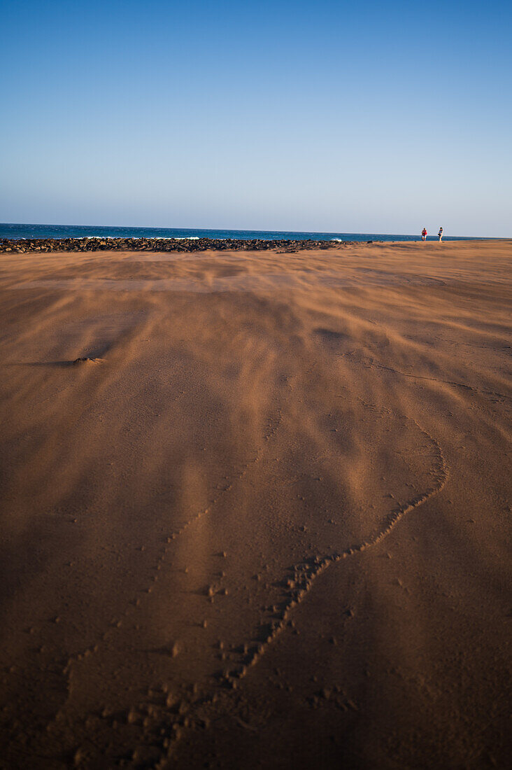 Wind blows sand on a beach in Lanzarote, Canary Islands, Spain