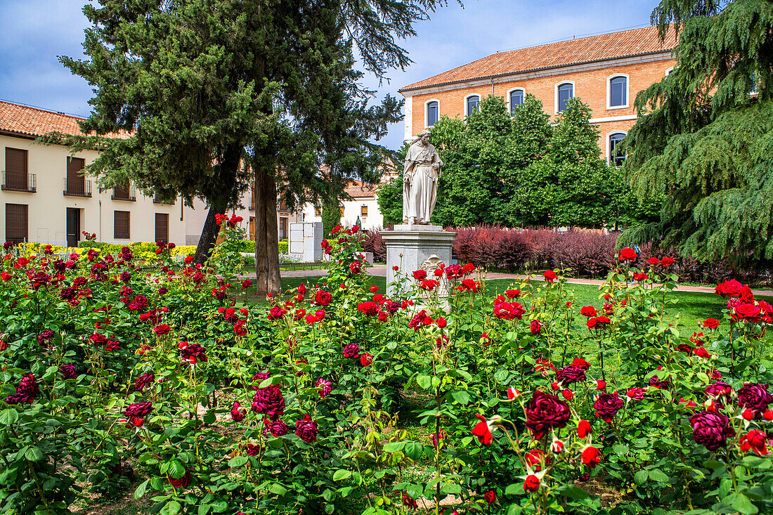 Facade of the building of the College of Saint Ildefonso, seat of the University of Alcala de Henares and rose garden in the foreground, Alcala de Henares, Madrid Province, Spain.