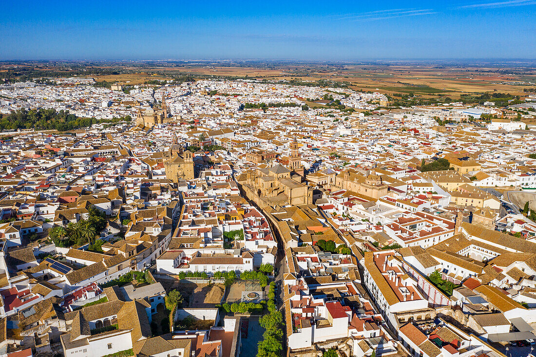 Luftaufnahme der weißen Häuser in der Altstadt von Carmona Sevilla Andalusien Südspanien