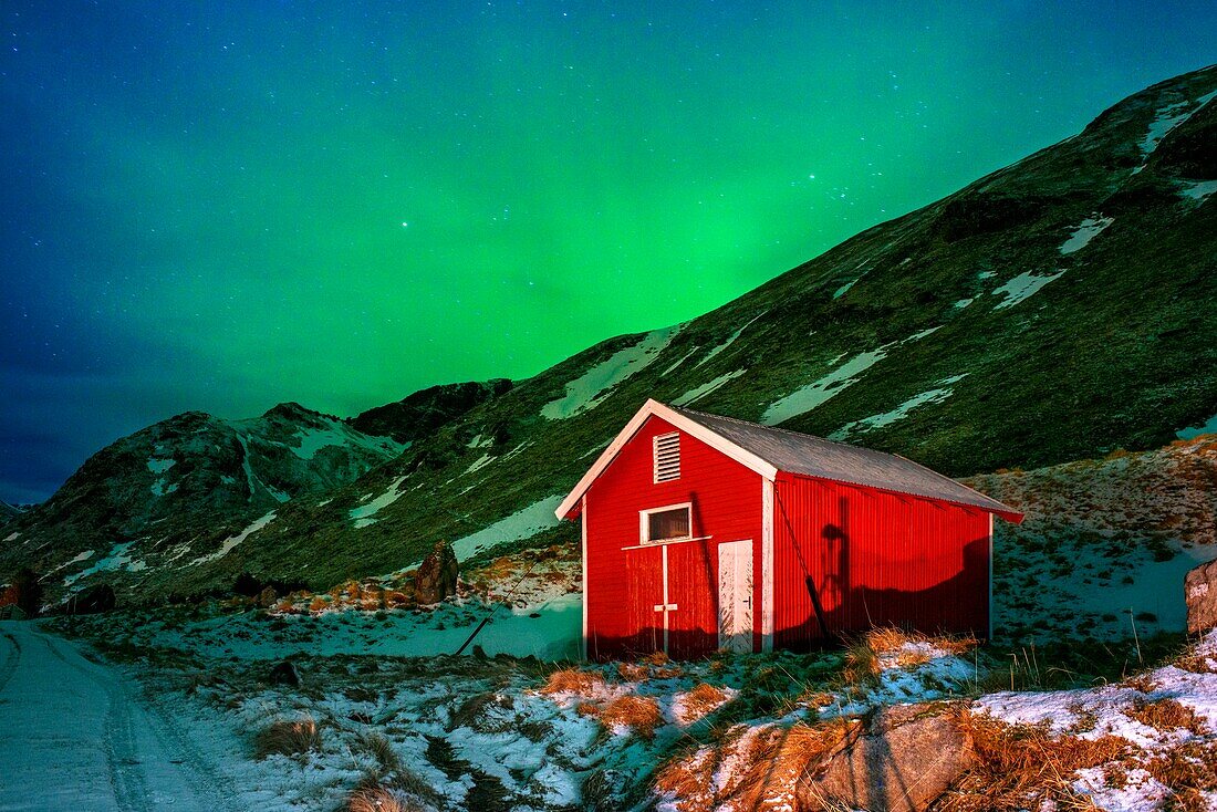 Nordlicht oder Aurora Borealis über atypischen roten Häusern in Rorbu, Svolvaer auf den Lofoten, Norwegen