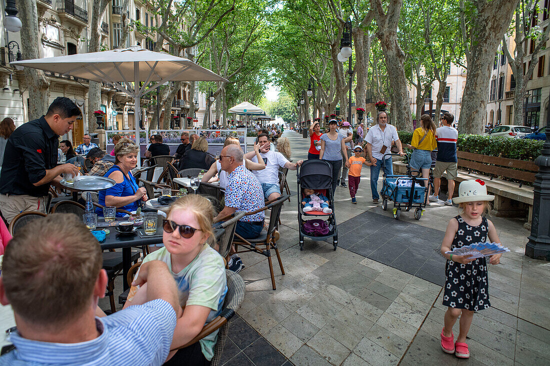 Bars und Restaurants im Paseo del Borne oder Paseo del Borne, Promenade Passeig des Born, Palma de Mallorca, Mallorca, Balearische Inseln, Spanien