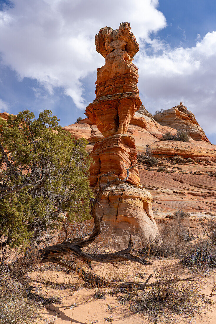 Die Schachkönigin oder der Totempfahl ist ein erodierter Sandsteinturm in der Nähe von South Coyote Buttes, Vermilion Cliffs National Monument, Arizona