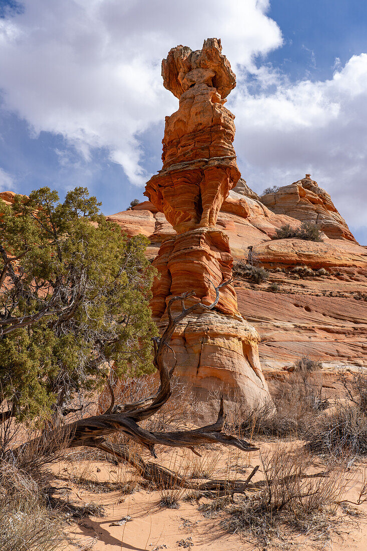 The Chess Queen or Totem Pole is an eroded sandstone tower near South Coyote Buttes, Vermilion Cliffs National Monument, Arizona.