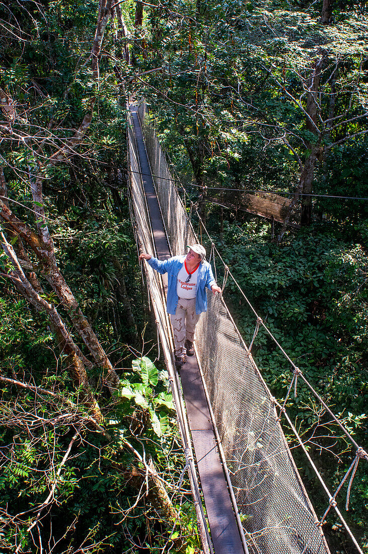 Erhöhte Hängebrücken des Canopy Walk. Ein Regenwald-Baumkronenpfad im Tambopata-Nationalpark, im Inkaterra Amazonica Reservat. Besucher haben einen Blick aus der Vogelperspektive von der Amazonas-Dschungel-Gehweg am Fluss Napo Camp Explorama Touren in Peru. Iquitos, Loreto, Peru. Der Amazon Canopy Walkway, eine der längsten Hängebrücken der Welt, die es ermöglicht, die Tiere des Primärwaldes aus einer Höhe von 37 Metern zu beobachten und über die 14 höchsten Bäume des Gebietes zu schweben
