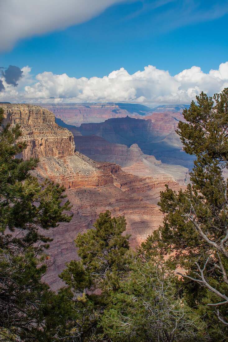 Blick vom South Rim im Grand Canyon National Park, Arizona