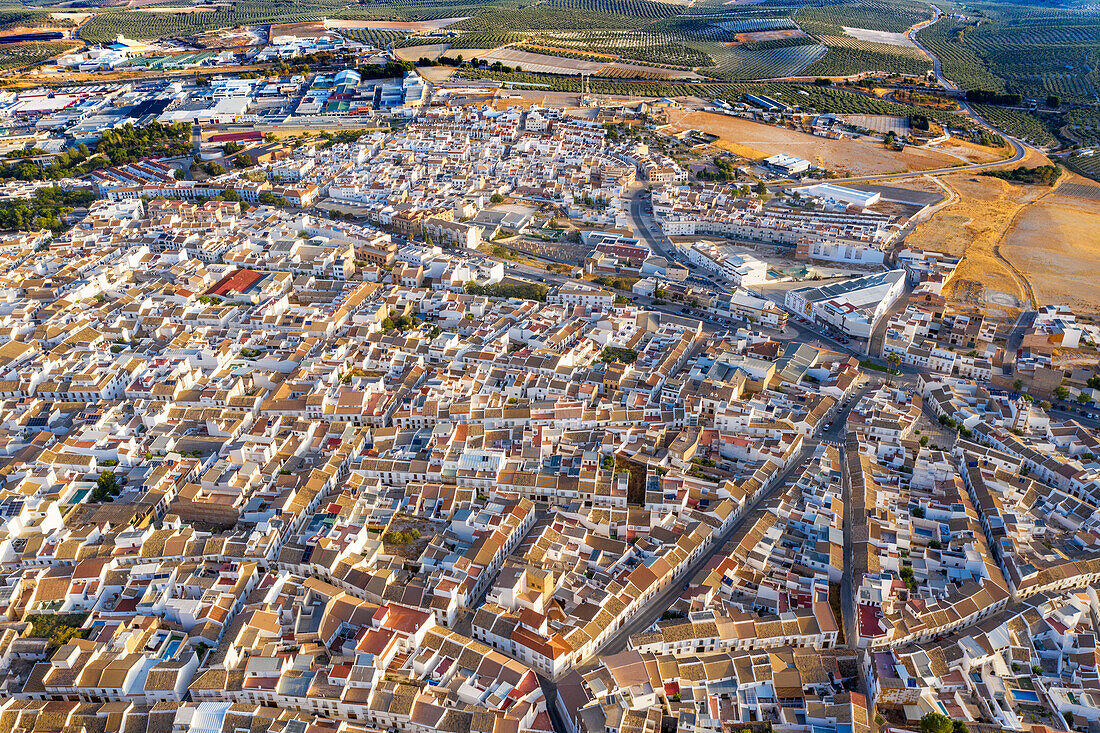 Luftaufnahme der Altstadt von Estepa in der Provinz Sevilla in Andalusien im Süden Spaniens