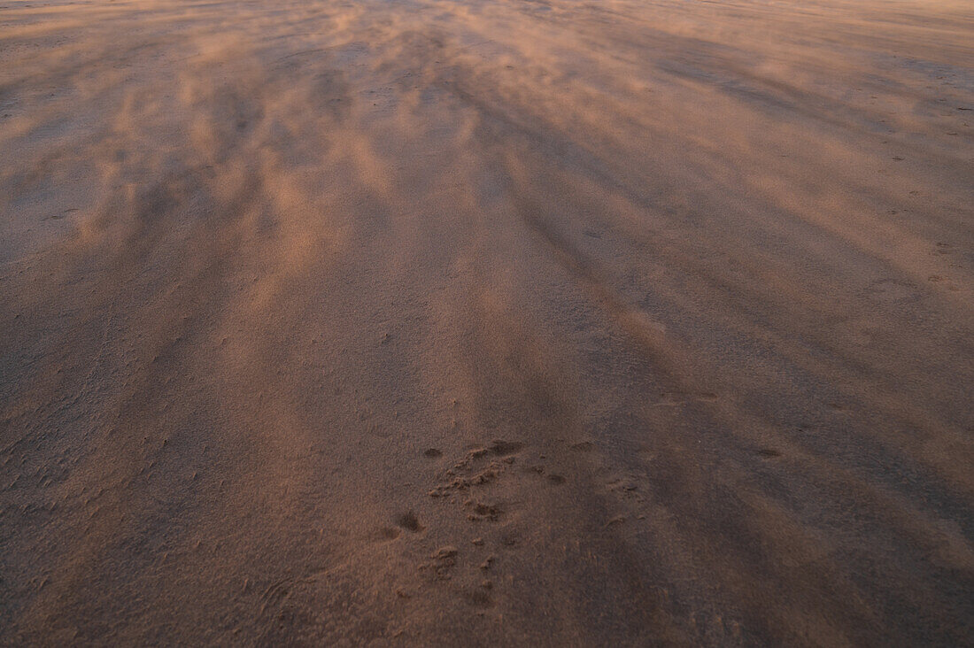 Wind blows sand on a beach in Lanzarote, Canary Islands, Spain