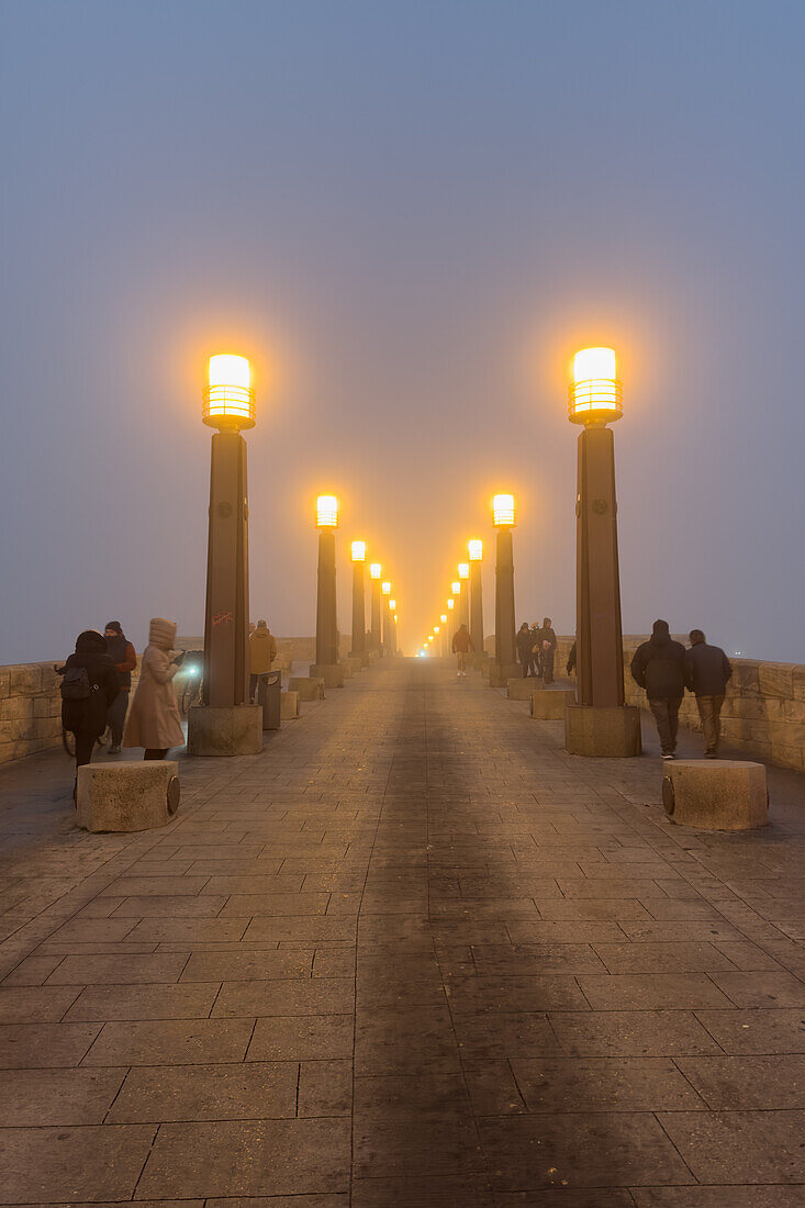 Foggy winter cityscape as temperatures go down in Zaragoza, Spain