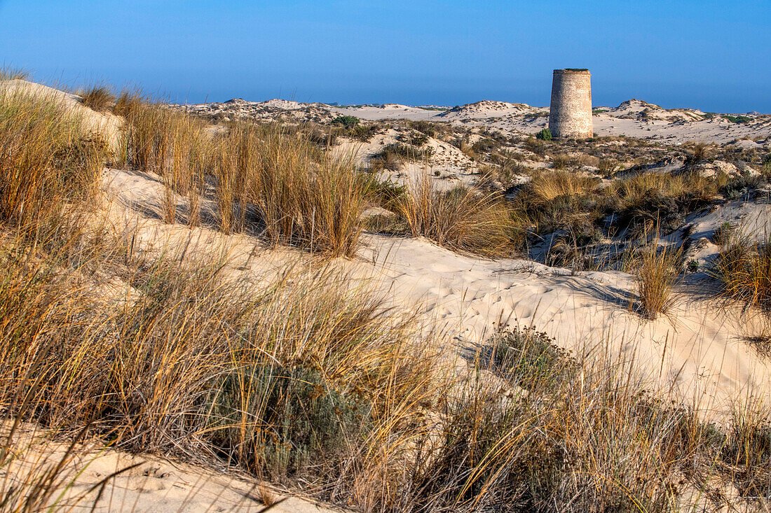 Torre Carbonero tower in Parque Nacional de Doñana National Park, Almonte, Huelva province, Region of Andalusia, Spain, Europe.