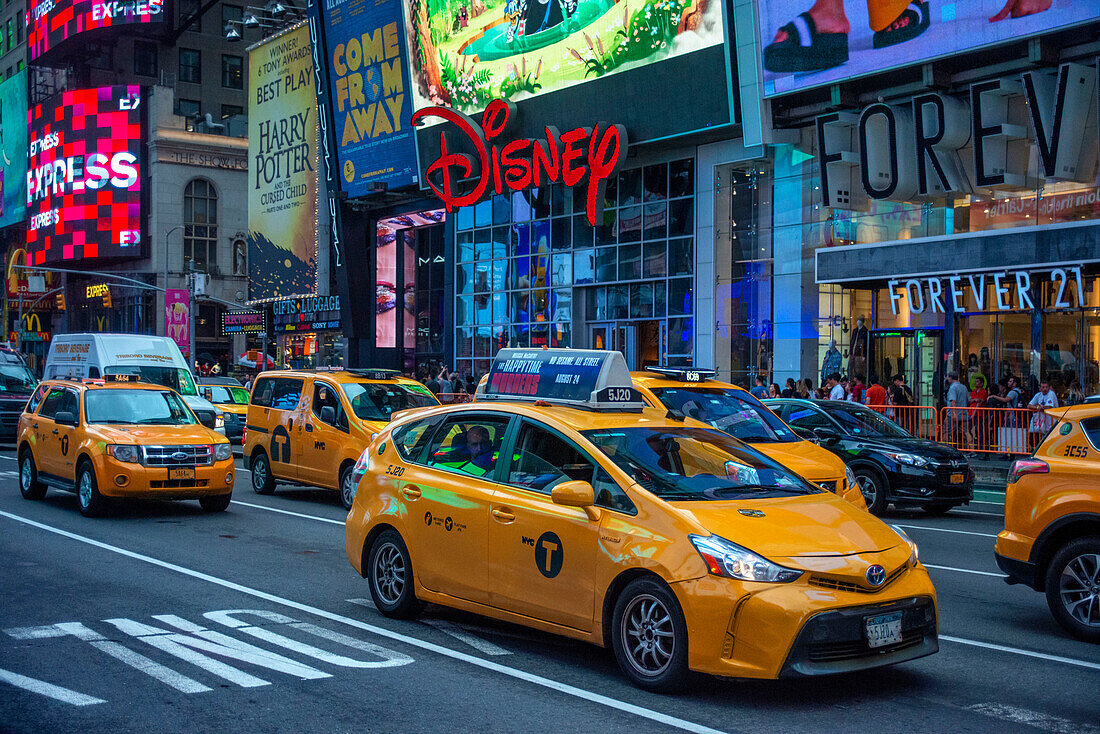 Gelbe Taxis am Times Square, New York City, USA. Gelbe Taxis warten aufgereiht am Stoppschild im frühen Abendlicht, Times Square, New York