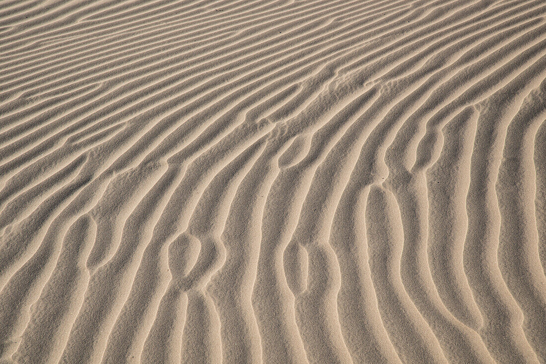 Sand ripples at Eureka Dunes in Death Valley National Park, California.