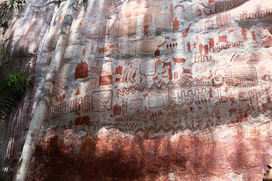 Die Felsmalereien in Chiribiquete, die von der UNESCO zum Weltkulturerbe erklärt wurden, sind einer der bedeutendsten Orte, um die Felskunst in San José del Guaviare zu bewundern, die sehr alt ist und teilweise bis zu 12 000 Jahre zurückreicht. Diese grafischen Darstellungen wurden von den alten indigenen Gemeinschaften geschaffen, die die Region bevölkerten.
