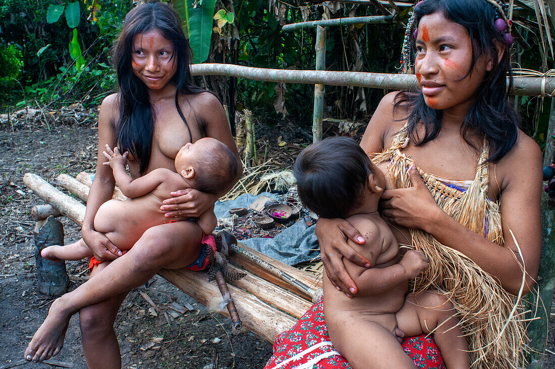 Women breastfeed baby Yagua Indians living a traditional life near the Amazonian city of Iquitos, Peru.