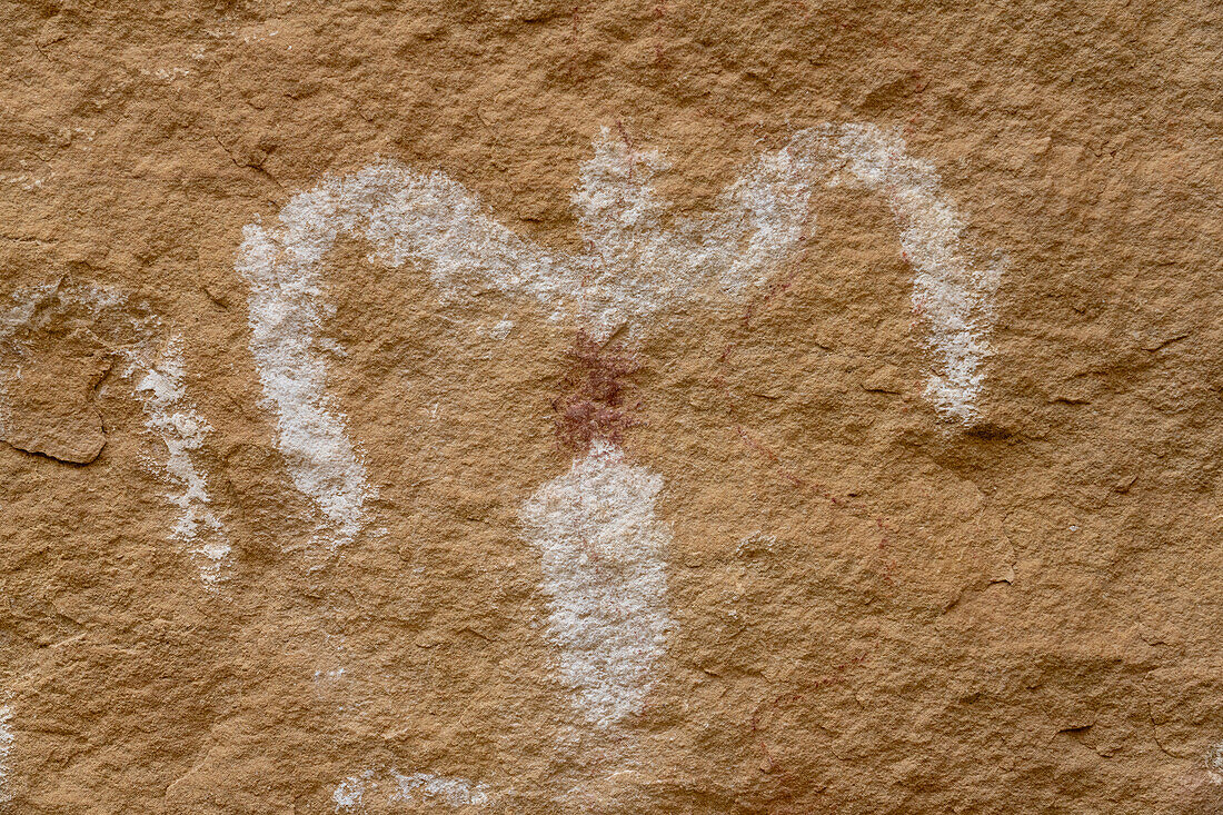 Pre-Hispanic pictographs at the White Birds Interpretive Site in the Canyon Pintado National Historic District in Colorado. Pre-Hispanic Native American rock art.