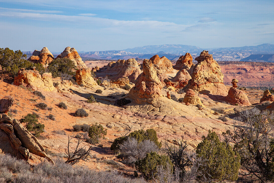 Eroded Navajo sandstone formations in South Coyote Buttes, Vermilion Cliffs National Monument, Arizona.