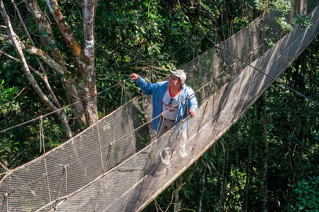Erhöhte Hängebrücken für den Canopy Walk. Ein Regenwald-Hängebrückenweg im Tambopata-Nationalpark im Inkaterra-Amazonica-Reservat. Besucher haben einen Blick aus der Vogelperspektive vom Amazonas-Dschungel Laufsteg am Fluss Napo Camp Explorama Tours in Peru. Iquitos, Loreto, Peru. Der Amazon Canopy Walkway, eine der längsten Hängebrücken der Welt, die es ermöglicht, die Tiere des Urwalds aus einer Höhe von 37 Metern zu beobachten, und die über den 14 höchsten Bäumen des Gebiets aufgehängt ist