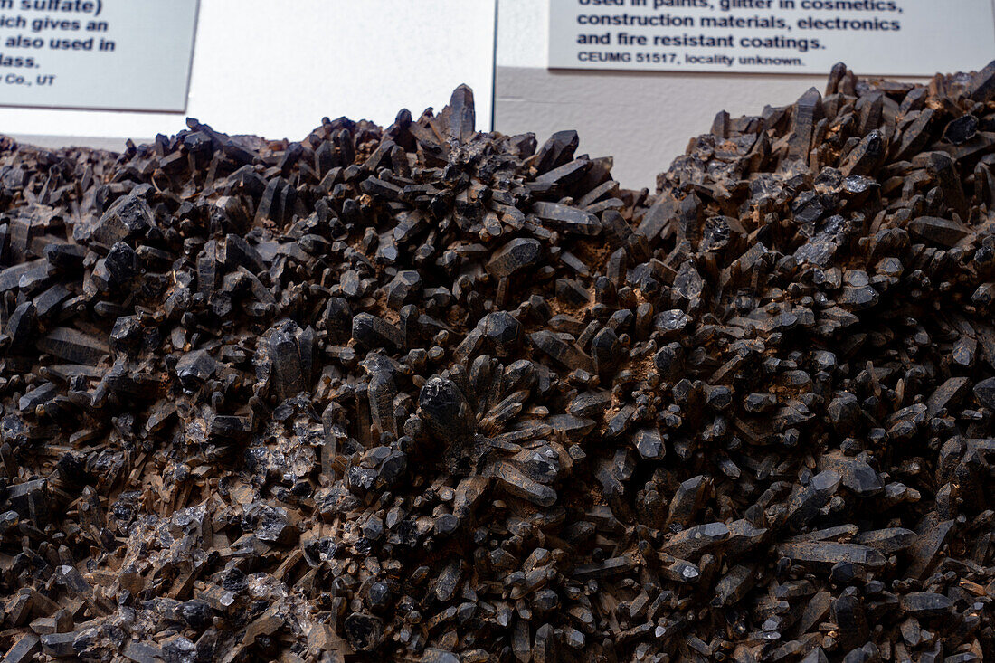 Smoky Quartz crystals, silica dioxide, in the mineral collection in the USU Eastern Prehistoric Museum, Price, Utah.