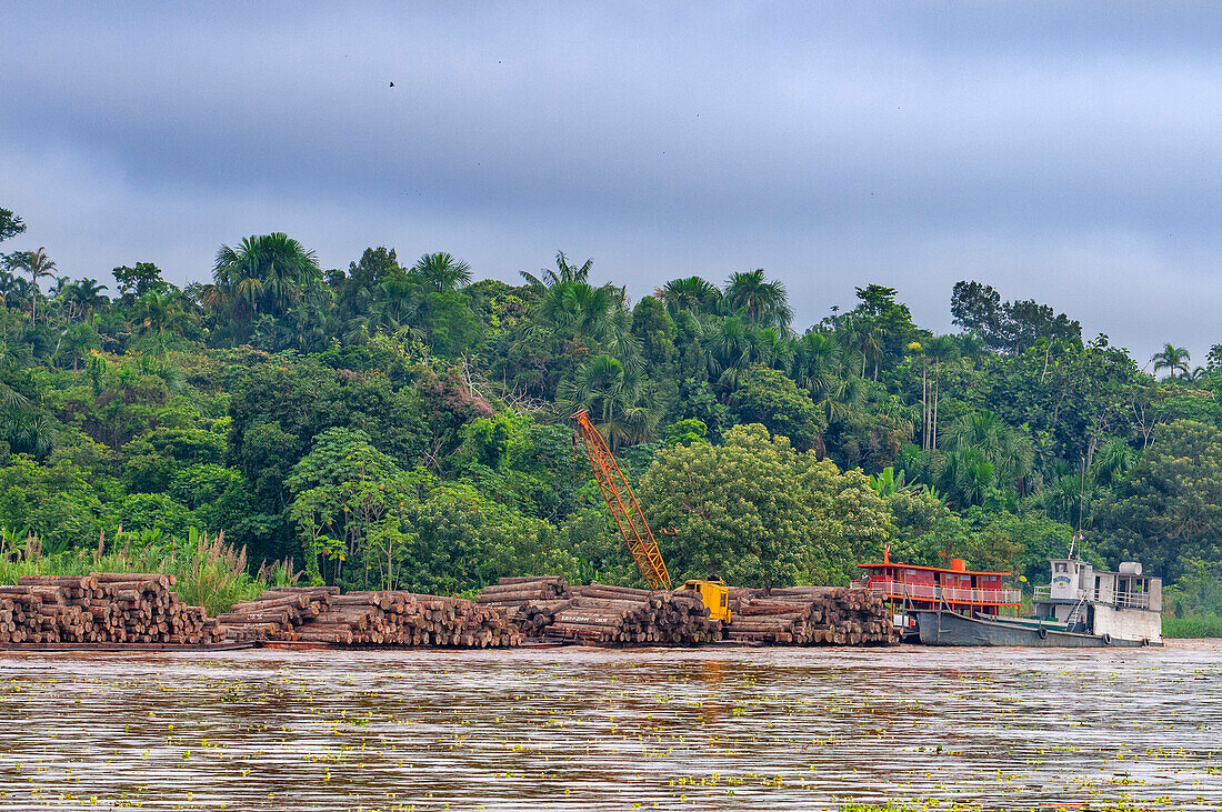 Floating houses in the Amazon River, Iquitos, Loreto, Peru, South America.