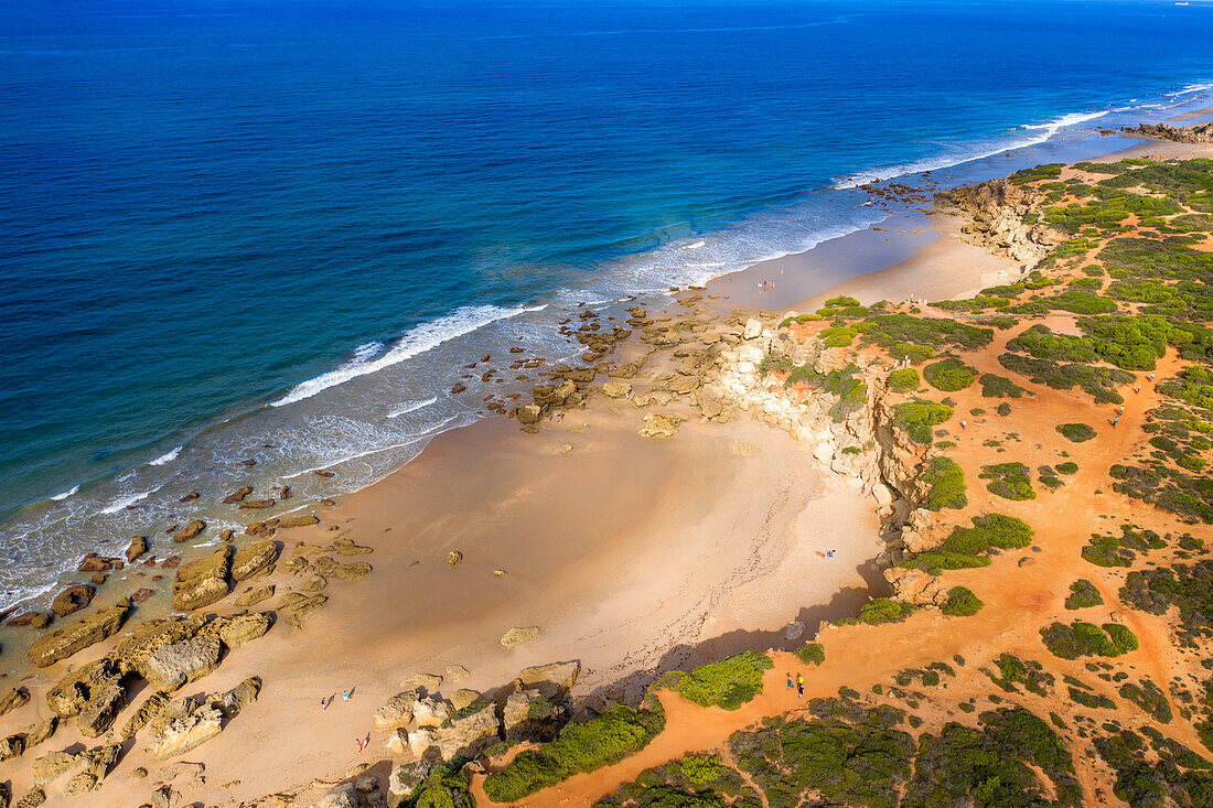 Aerial view of Calas de roche beach in Conil de la Frontera, Cadiz province, Costa de la luz, Andalusia, Spain. Cala El Frailecillo and Cala El Enebro.