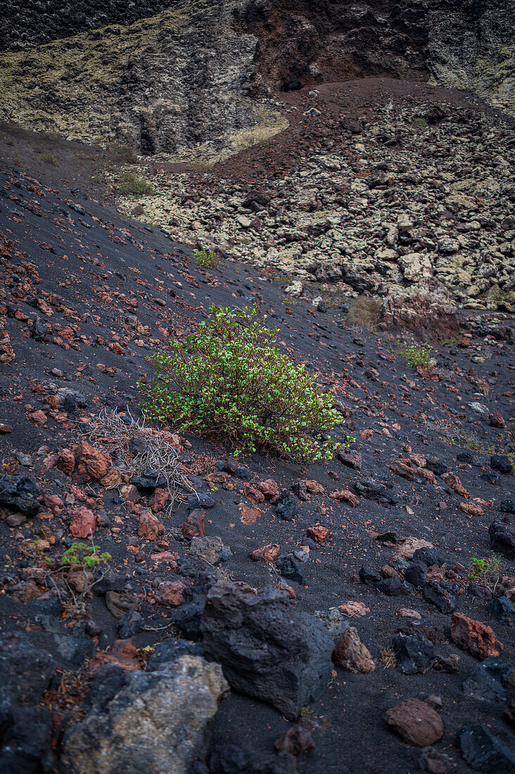 Volcan del Cuervo (Crow volcano) a crater explored by a loop trail in a barren, rock-strewn landscape