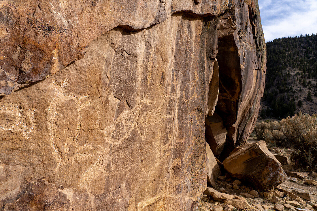 A pre-Hispanic Native American petroglyph rock art panel in Nine Mile Canyon in Utah.