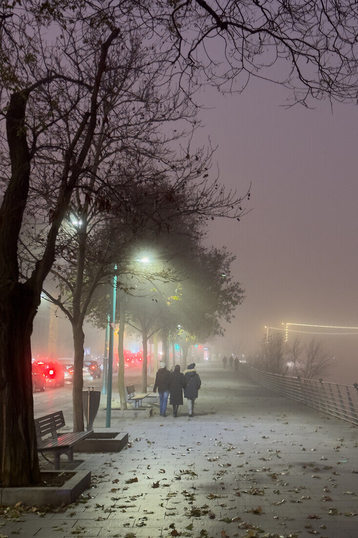 Nebliges Winterstadtbild bei sinkenden Temperaturen in Zaragoza, Spanien
