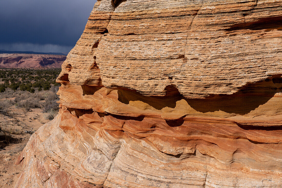 Erosion detail in the Navajo sandstone near South Coyote Buttes, Vermilion Cliffs National Monument, Arizona.
