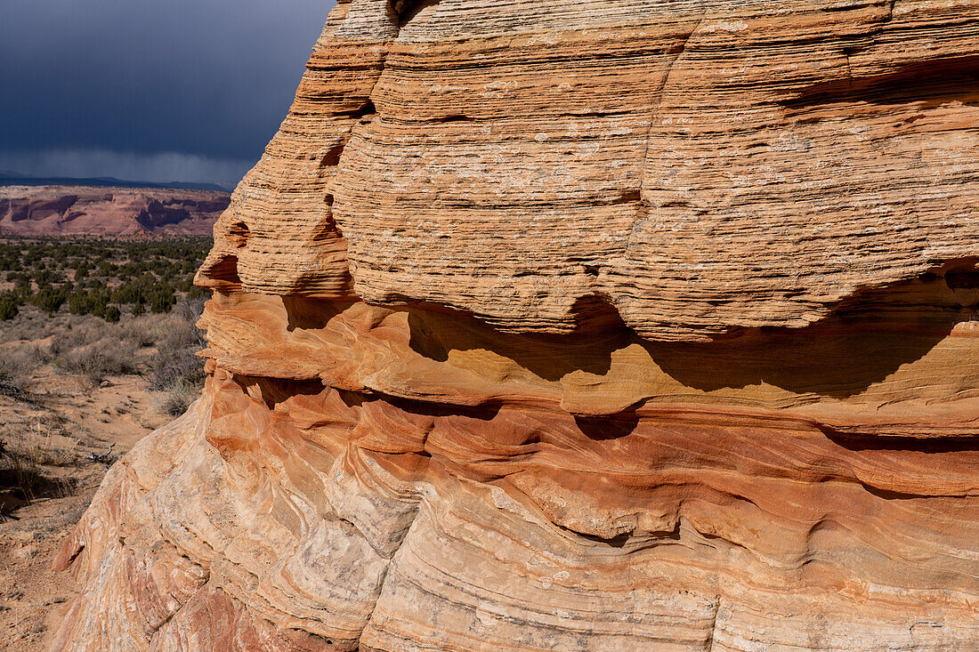 Erosionsdetail im Navajo-Sandstein bei South Coyote Buttes, Vermilion Cliffs National Monument, Arizona