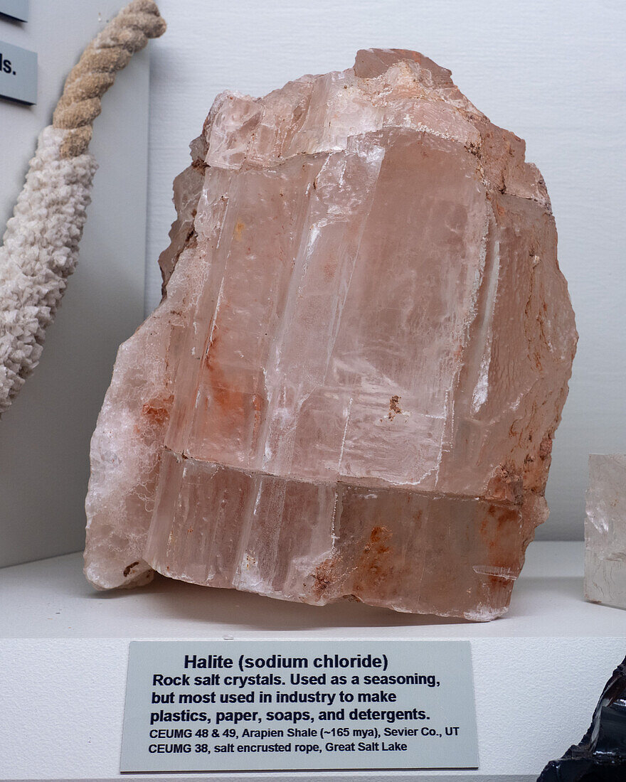 Halit, Natriumchlorid, in der Mineraliensammlung des USU Eastern Prehistoric Museum, Price, Utah