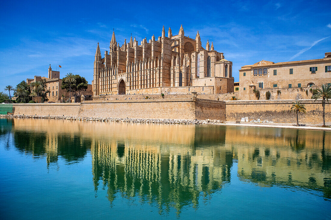 Kathedrale Santa Maria Palma Majorca in der Altstadt von Palma de Majjorca, Balearen, Spanien