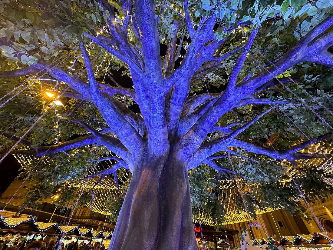 Christmas arrives in the streets of Zaragoza, Aragon, Spain