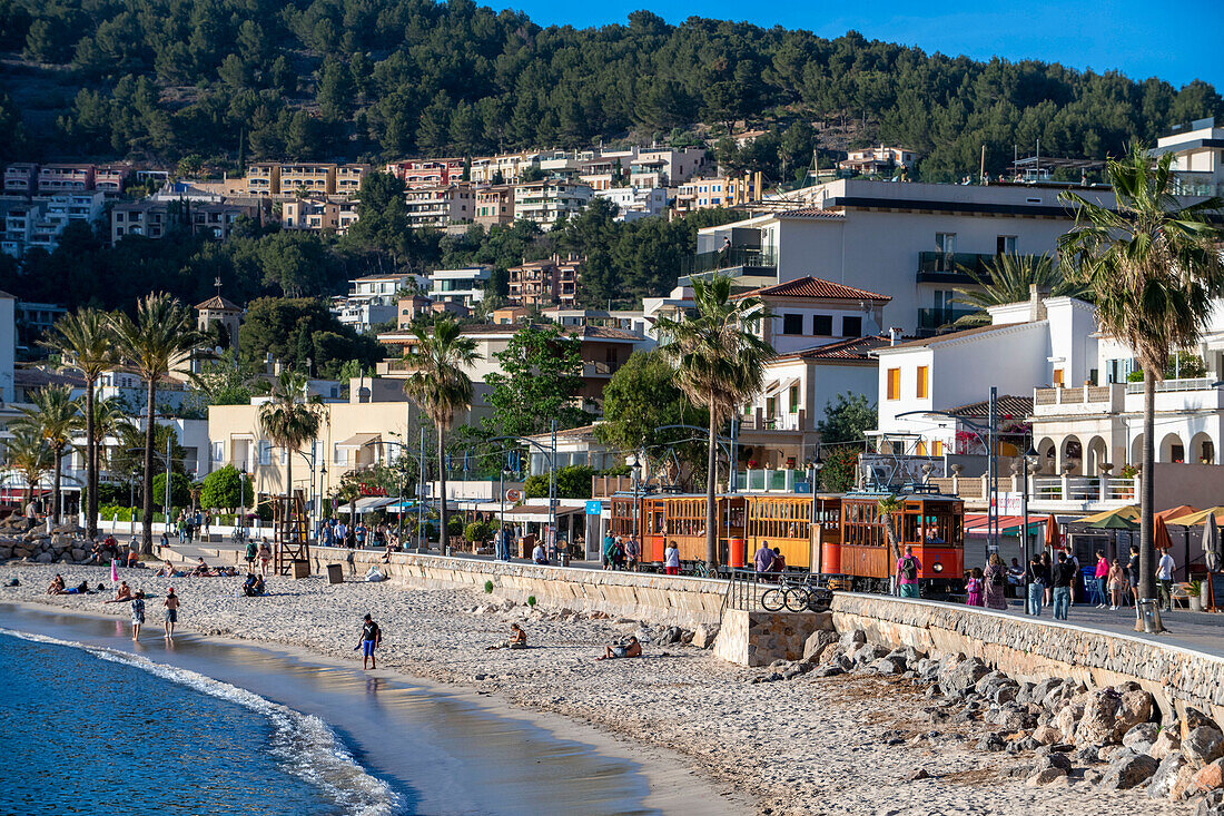 Aerial view of the vintage tram at the Port de Soller village. The tram operates a 5kms service from the railway station in the Soller village to the Puerto de Soller, Soller Majorca, Balearic Islands, Spain, Mediterranean, Europe.