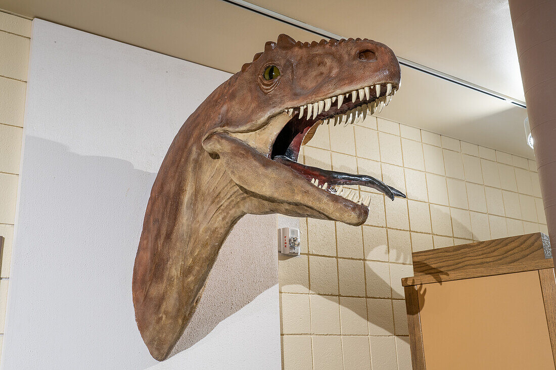 Nachbildung eines Allosaurus-Dinosaurierkopfes im USU Eastern Prehistoric Museum, Price, Utah