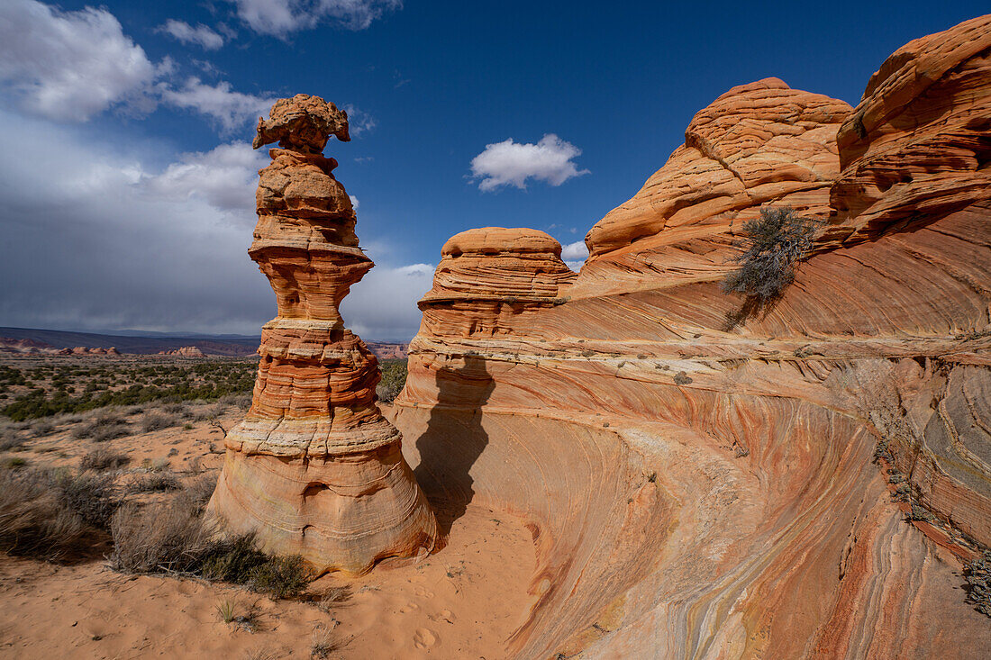Die Schachkönigin oder der Totempfahl ist ein erodierter Sandsteinturm bei South Coyote Buttes, Vermilion Cliffs National Monument, Arizona