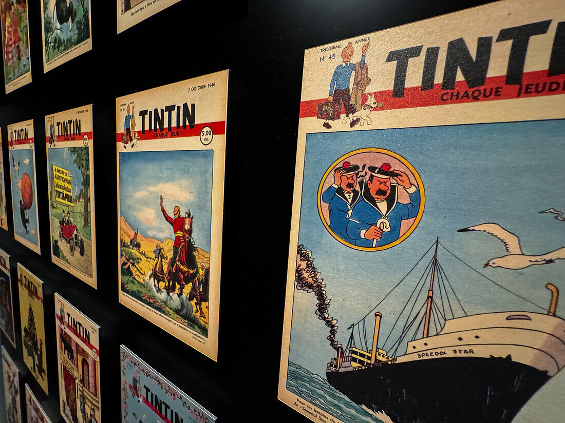 Assorted covers of The Adventures of Tintin comic books by Herge.