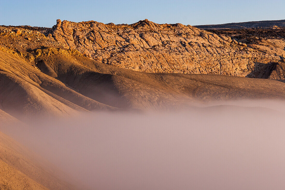 Morrison Formastion sandstone above early morning fog in Dinosaur National Monument near Jesnse, Utah.