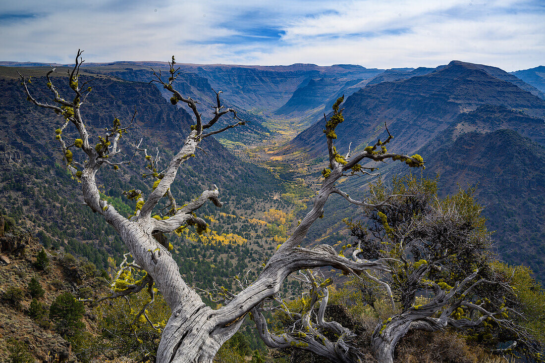 Big Indian Gorge in the Steens Mountain Cooperative Management and Protection Area in eastern Oregon.