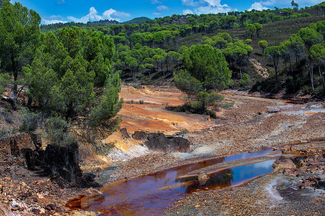 Blutrotes mineralhaltiges Wasser des Flusses Rio Tinto im Bergbaugebiet Minas de Riotinto. Der sehr rote Rio Tinto (Fluss Tinto), Teil des Rio Tinto Minenparks (Minas de Riotinto), Provinz Huelva, Spanien