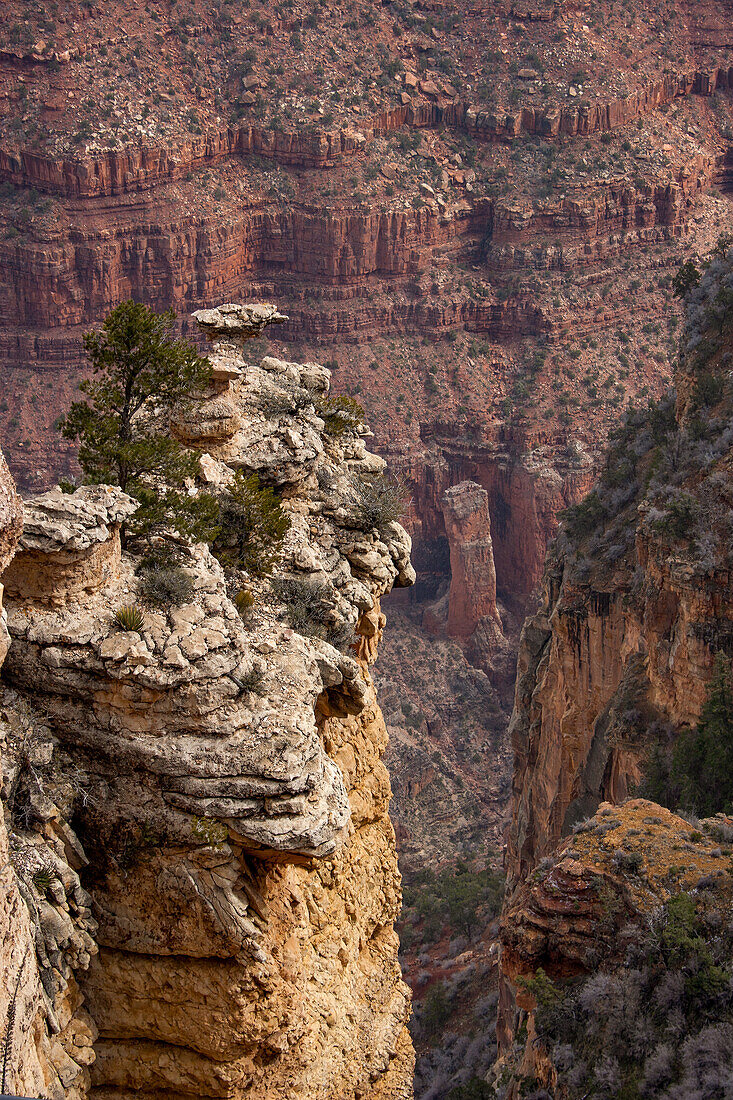 View from the South Rim in Grand Canyon National Park, Arizona.