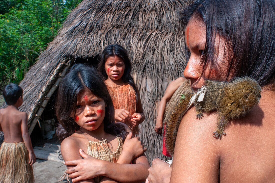 Zwergseidenäffchen, Yagua-Indianer, die in der Nähe der amazonischen Stadt Iquitos, Peru, ein traditionelles Leben führen